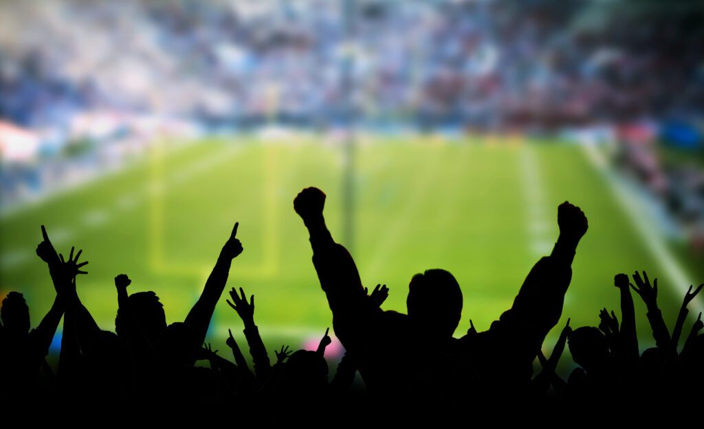Cheering crowd at a football stadium.